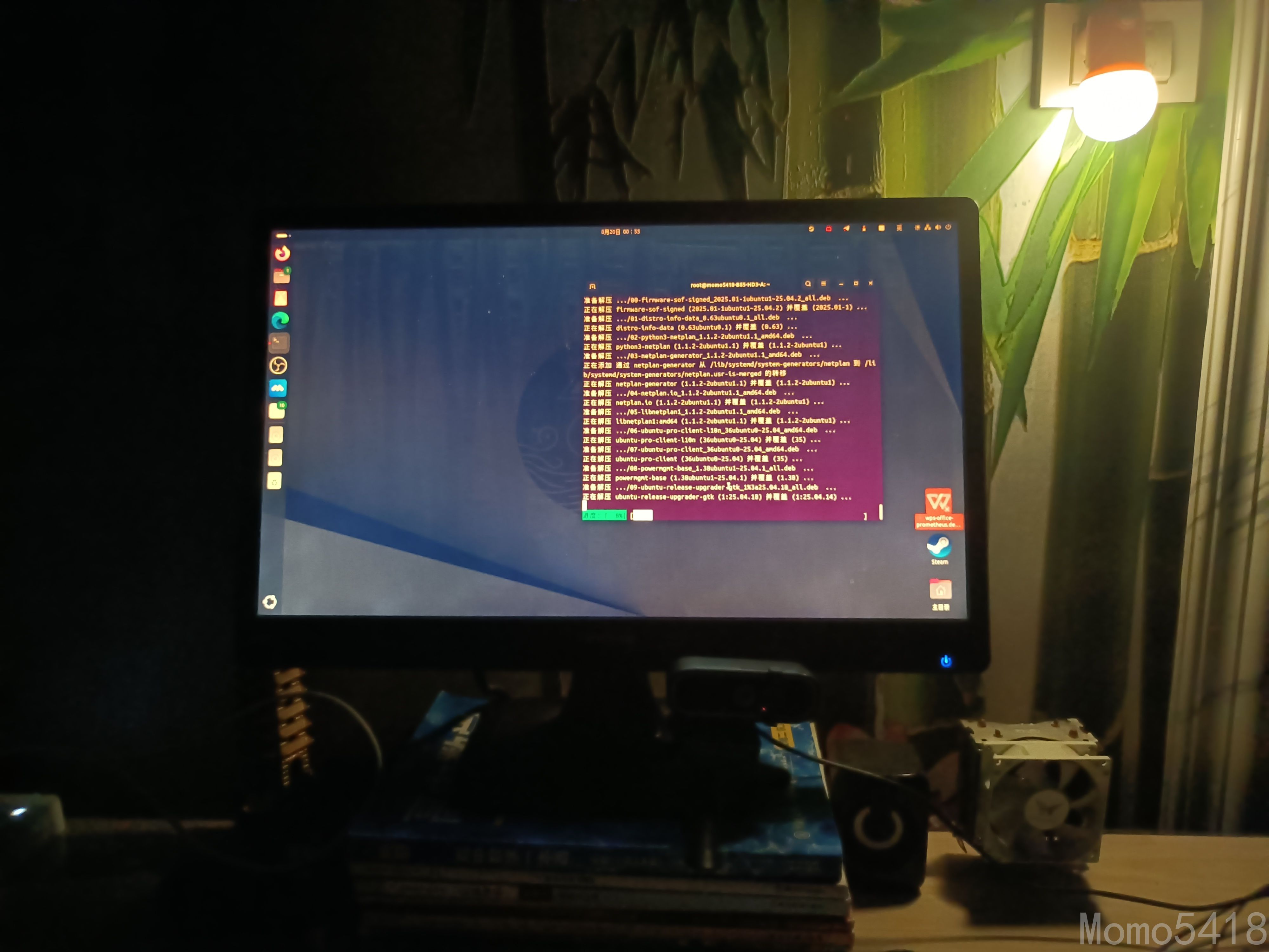 抛弃Windows，转向Ubuntu 25.04。